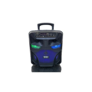 17-01 Parlante Inalámbrico 8" Rx-8122b